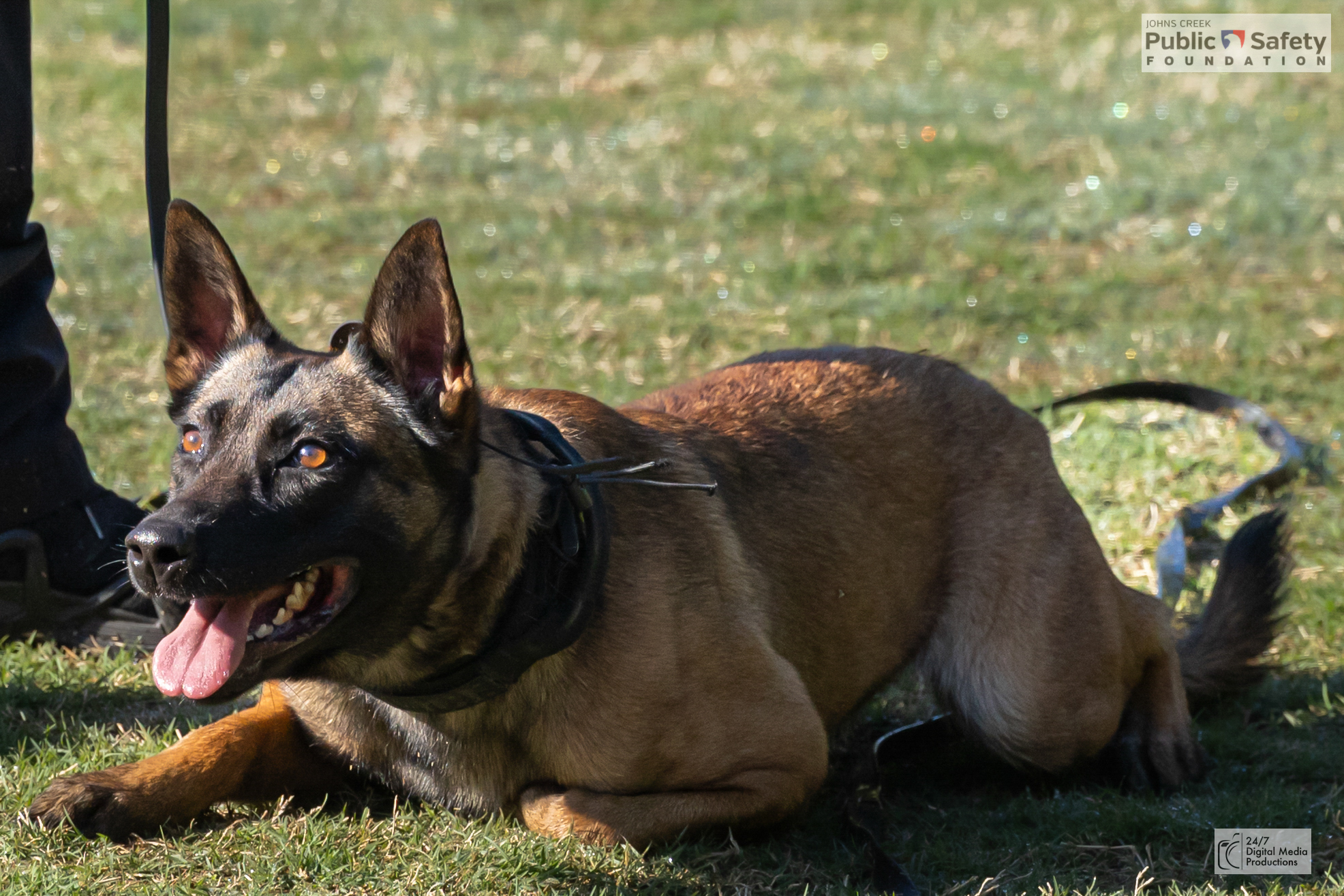 Johns Creek Public Safety Foundation 5K For Heroes - 2025Johns Creek 5K – Cauley Creek Park – 2025Johns Creek 5K – Cauley Creek Park – 2025
